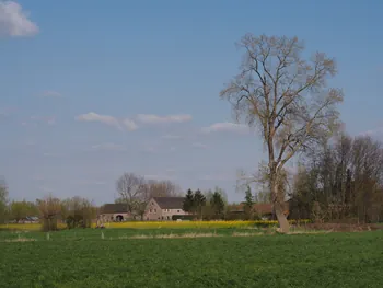 Kalkense Meersen (België)